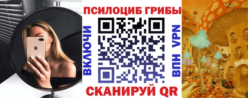 Купить  Ишимбай  Псилоцибиновые грибы ЛСД 
